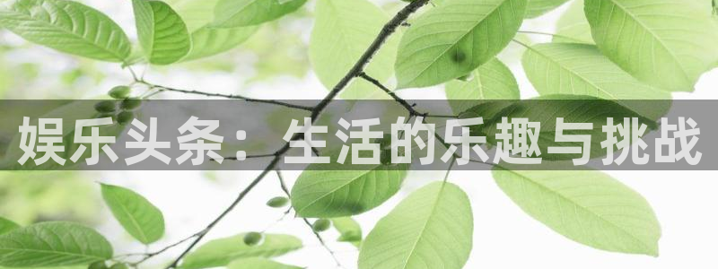 糖果派对公测
