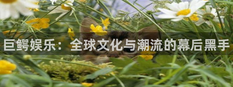 电子糖果派对