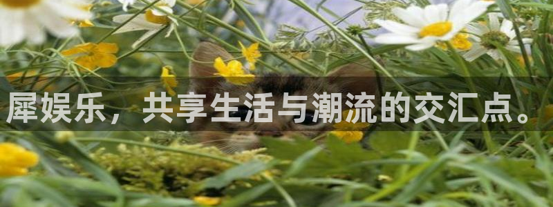 糖果派对巧克力